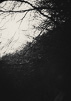 Circular Rays of Sun
