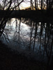 Westwood Pond