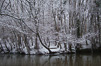Westwood Pond